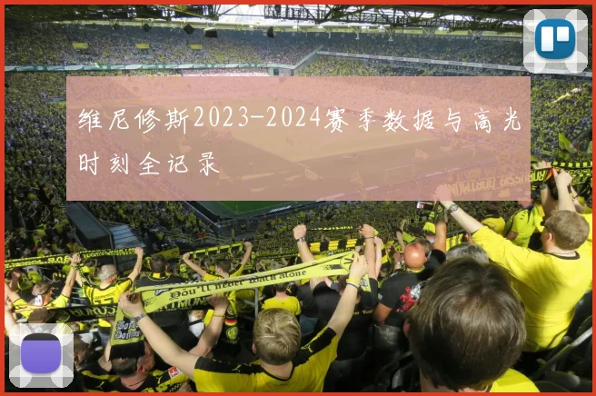 维尼修斯2023-2024赛季数据与高光时刻全记录