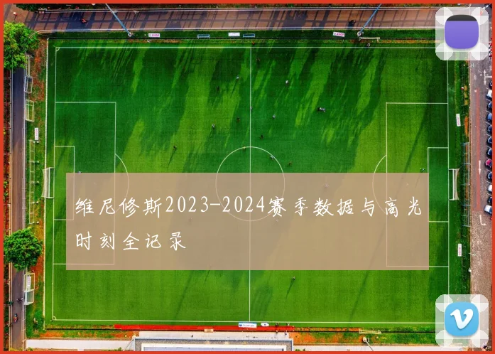 维尼修斯2023-2024赛季数据与高光时刻全记录