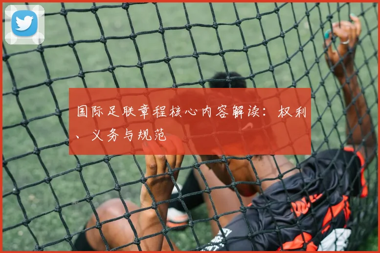 国际足联章程核心内容解读：权利、义务与规范